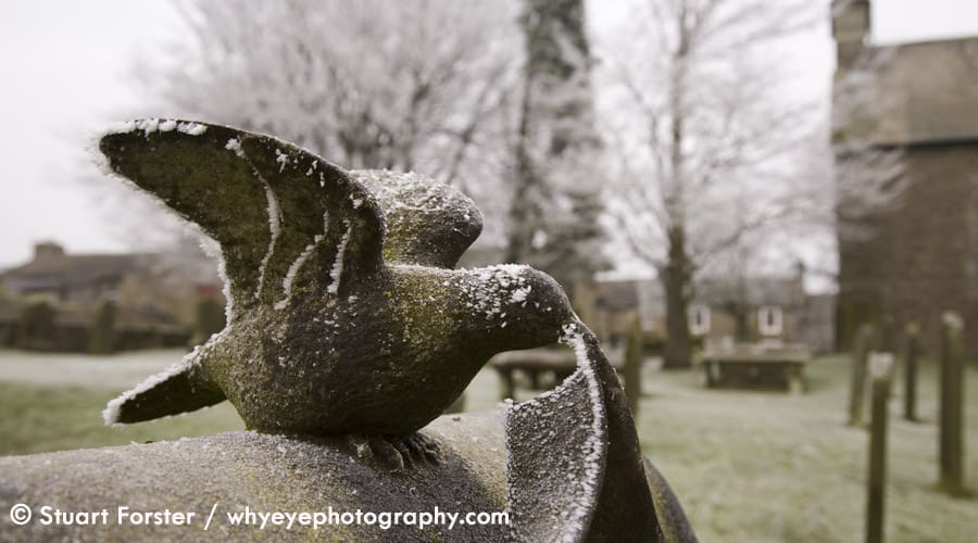 Frost on a pigeon sculpture on a headstone in St Giles churchyard at Bowes in County Durham, England