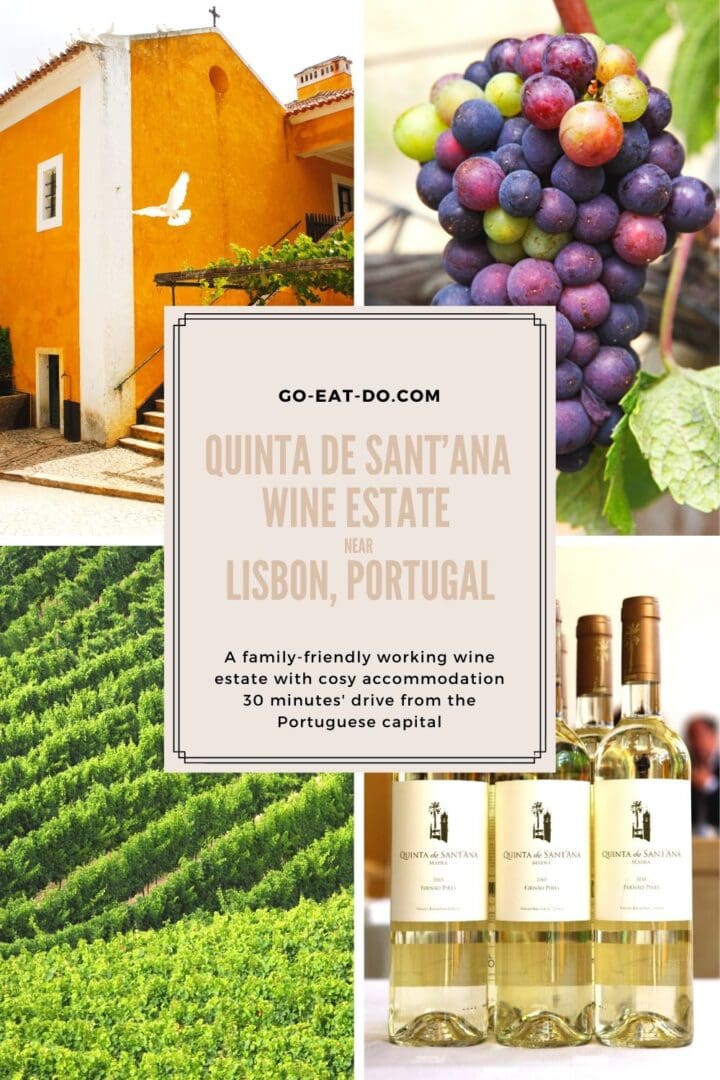 Pinterest pin for the Go Eat Do blog post about the Quinta Sant'ana wine estate near Lisbon, Portugal