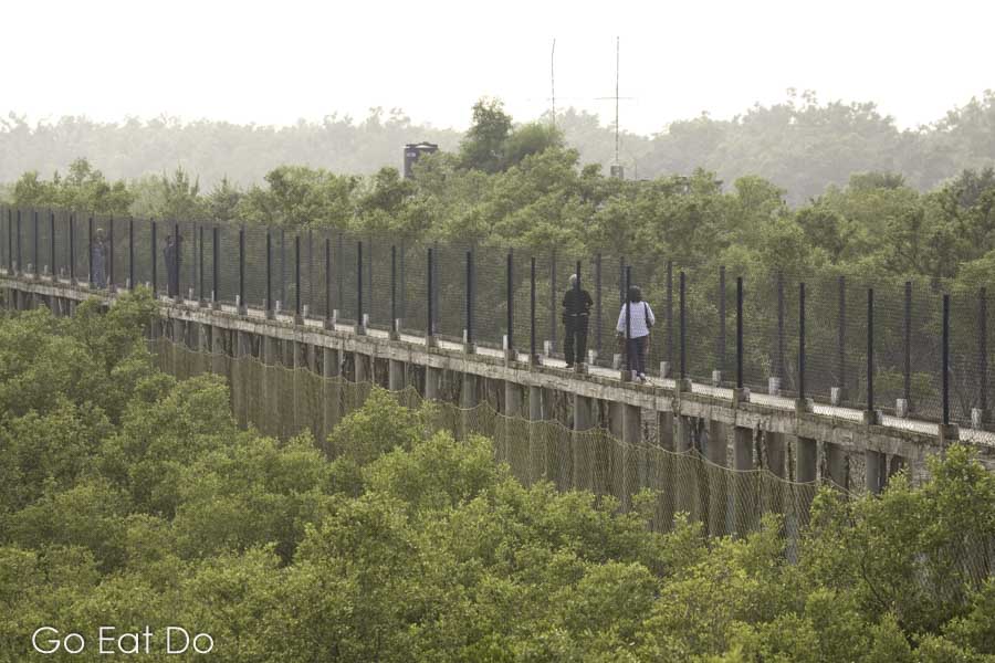 People on a raised walkway, designed for viewing wildlife, in the Sunderbans National Park, West Bengal, India. The canopy of the Sundarban forest climbs towards the walkway.