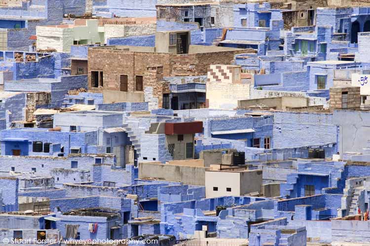 Flat roofs on blue houses in 'the blue city' of Jodhpur, Rajasthan in India