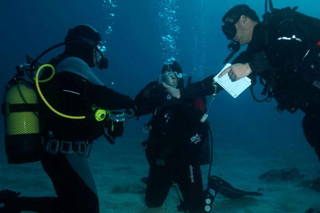 A beginner on an open water diver during a PADI OPen Water Diver course led by Haliotis in Portugal
