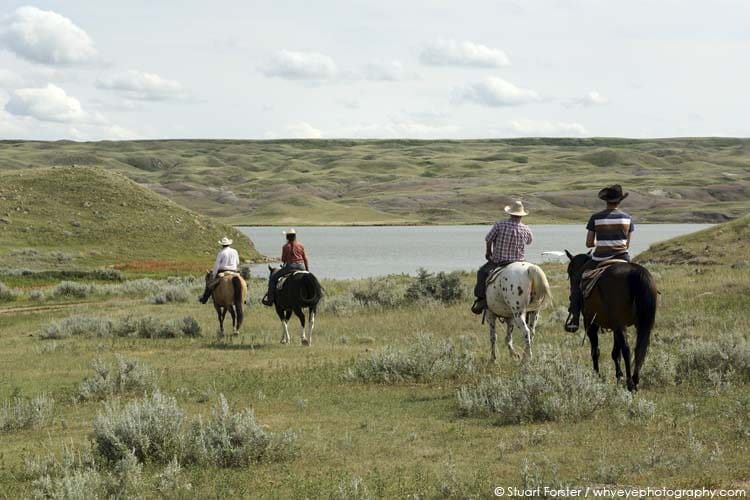 Horse riders riding horses at the La Reata Ranch in Saskatchewan, Canada
