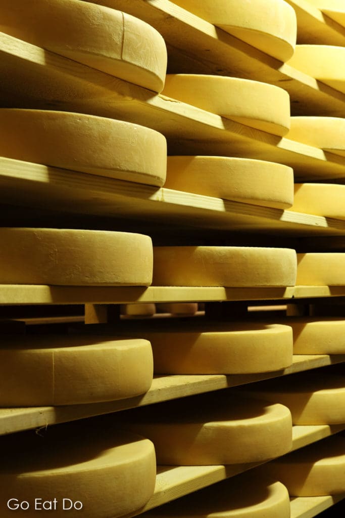 Wheels of mountain cheese ripening at La Maison de L'Etivaz in Etivaz, Switzerland. Regional farmers and cheese producers deliver their cheeses to a central point where the wheels are seasoned, ripened and stored.