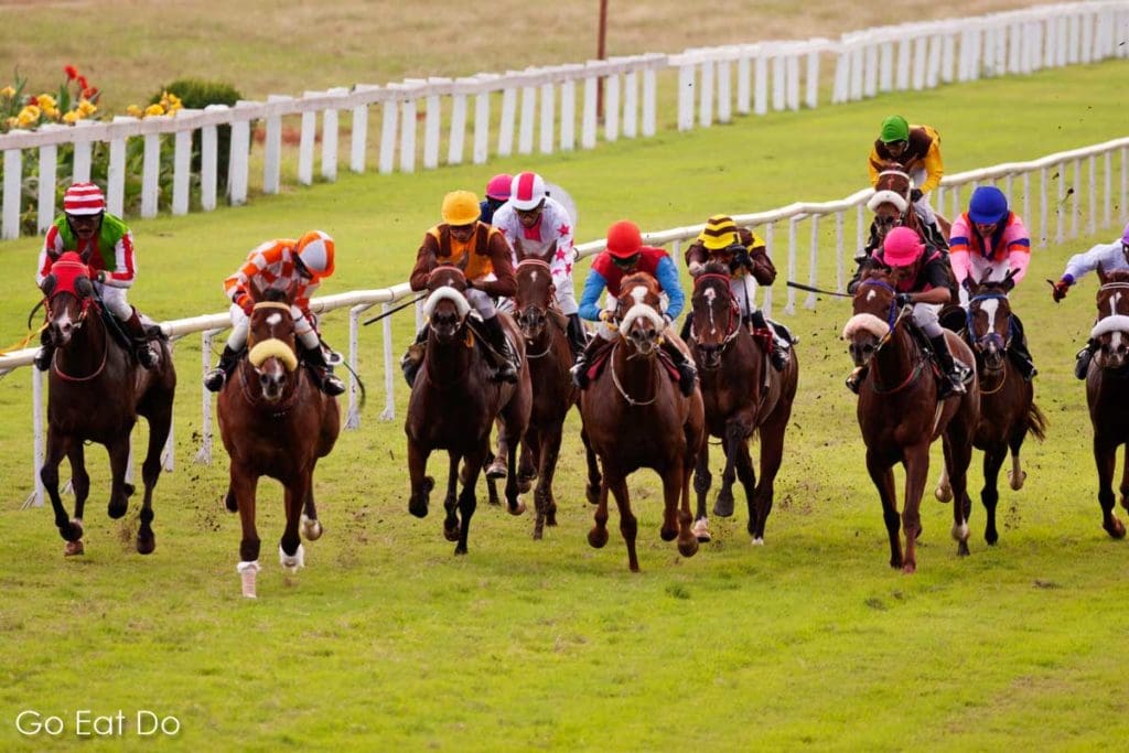 Blog post about horse racing at Royal Ascot.
