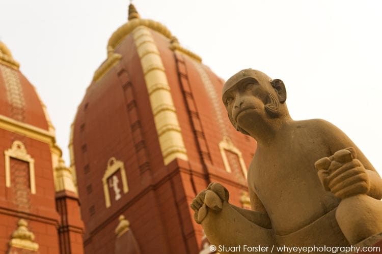 Monkey sculpture at the Laxminarayan Temple, known as the Birla Mandir, in Delhi, India