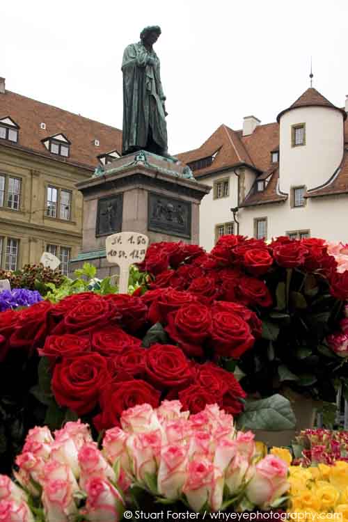 Roses on a market day, under a statue of Friedrich Schiller, in Stuttgart, Germany