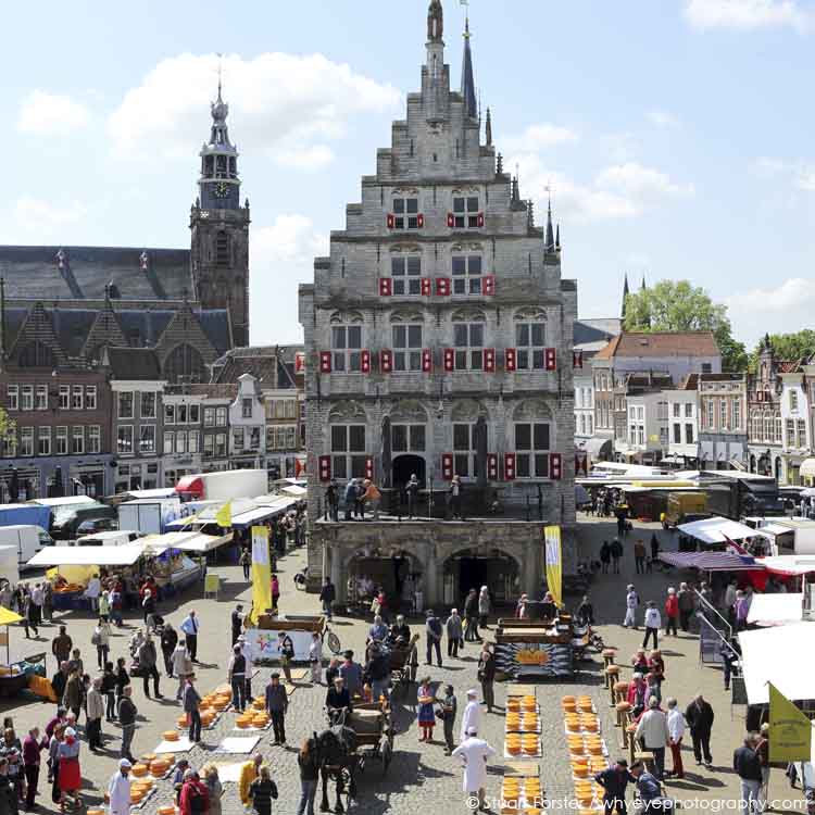 Gouda Cheese Market takes place in front of the Gothic town hall in Gouda, the Netherlands