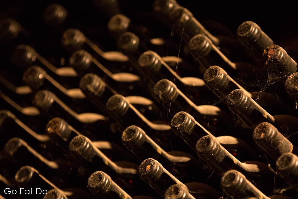 Dusty bottles of wine in the cellar of the Bogedas Monje at Santa Cruz de Tenerife
