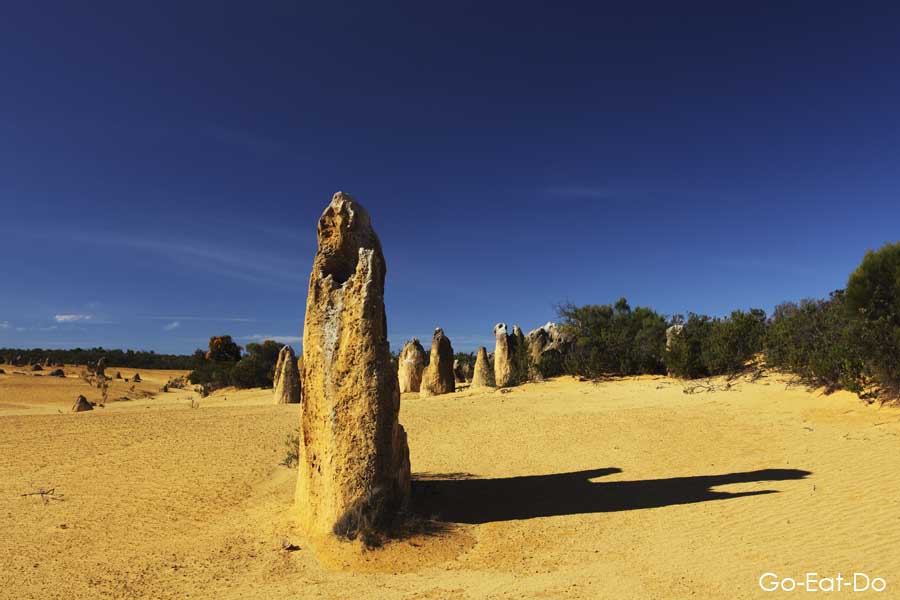 Natural limestone sculptures in the Pinnacles Desert, Western Australia.