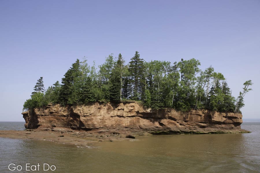 Trees on an island under a blue sky in Bay of Fundy, at Burntcoat Head in Nova Scotia, Canada