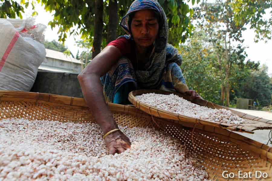 Bangladeshi woman sorting seeds in baskets at Tangail, a village in Bangladesh