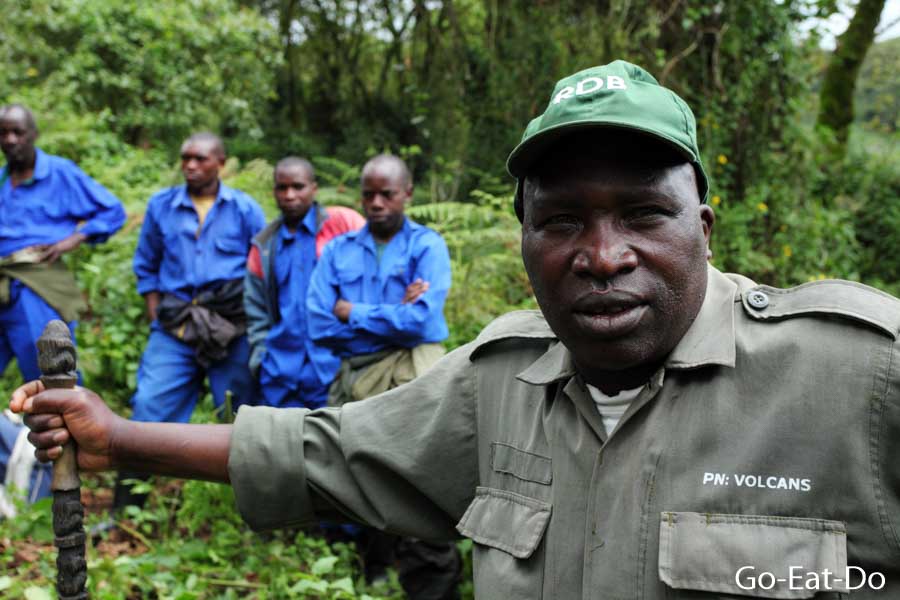 Francois, a guide who leads visitors to view mountain gorillas in Volcanoes National Park, Rwanda