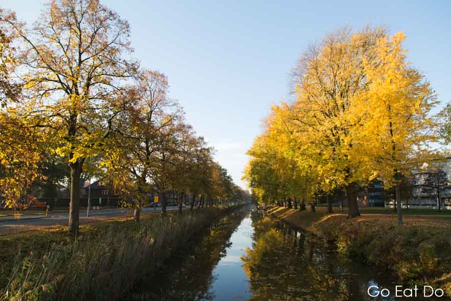 Trees with yellow autumn foliage reflect in the Mark canal on a sunny fall day in Breda, the Netherlands