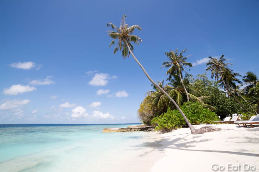 Palm trees, white sand and blue sky on Bandos Island, an archetypal scene from the Maldives