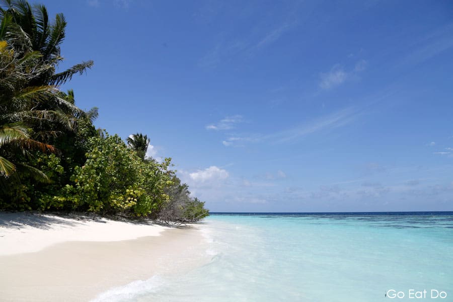 White sand beach fringed by palm trees and lapped by the Indian Ocean on a sunny day on Bandos Island in the Maldives