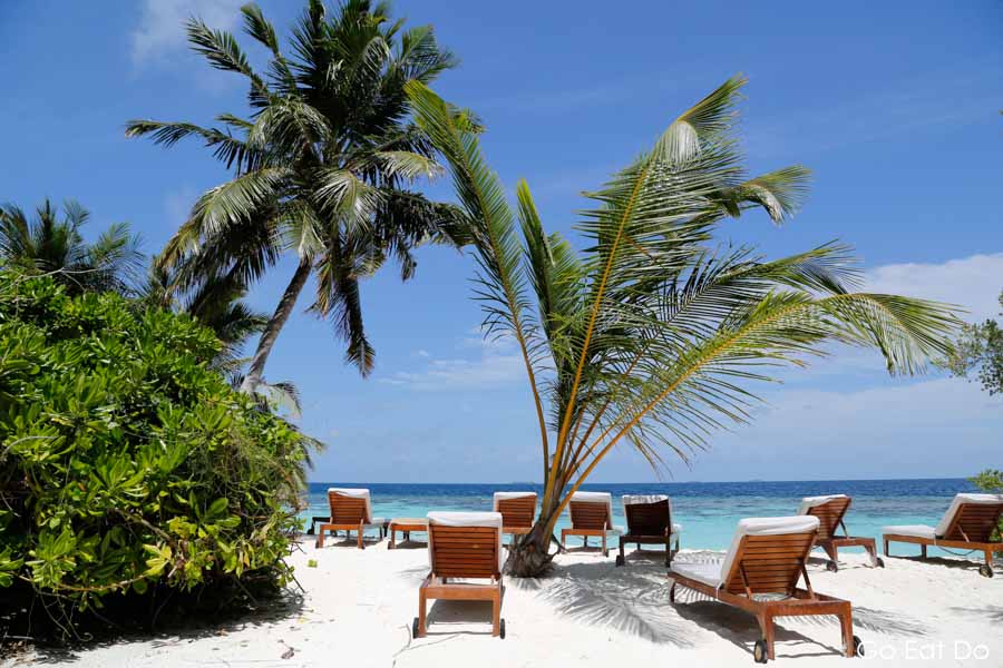 Sun loungers on white sand under palm trees on a sunny day on Bandos Island in the Maldives
