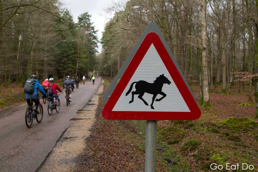 Cyclists pass a sign warning of wild horses on a road in the New Forest National Park, England