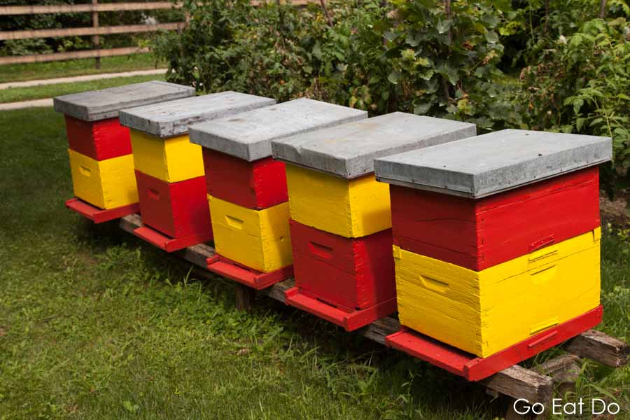 Yellow and red beehives in the garden of the Živanović Winery at Sremski Karlovci, Serbia