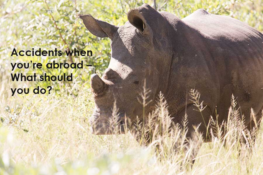 White rhinoceros in the African bush by text stating 'Accidents when you're abroad - what should you do?'
