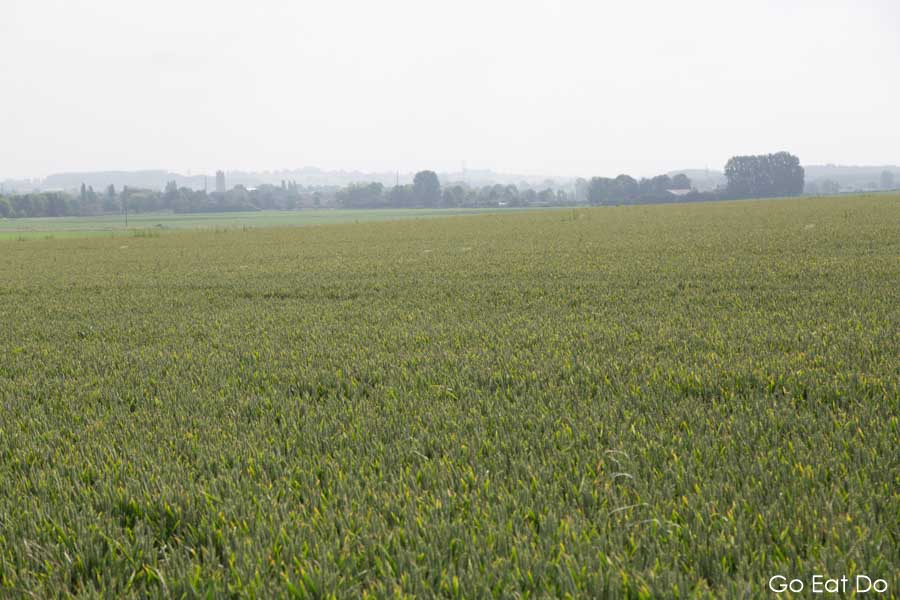 Field at Le Mont Dupil, south-east of St Omer, into which RAF pilot Douglas Bader crashed during World War Two.
