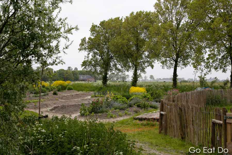 Organic farmland at De Kreake,at Huns in the Netherlands.