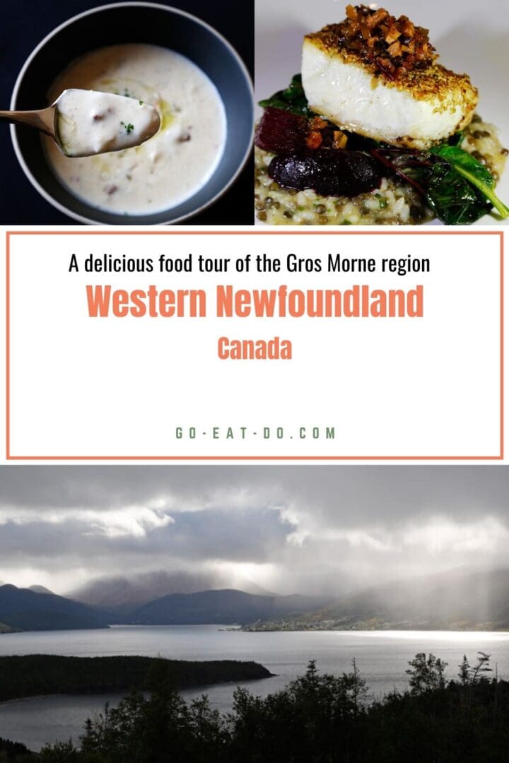 Pinterest pin for Go Eat Do's blog post about a food tour of the Gros Morne region of western Newfoundland and Labrador, Canada