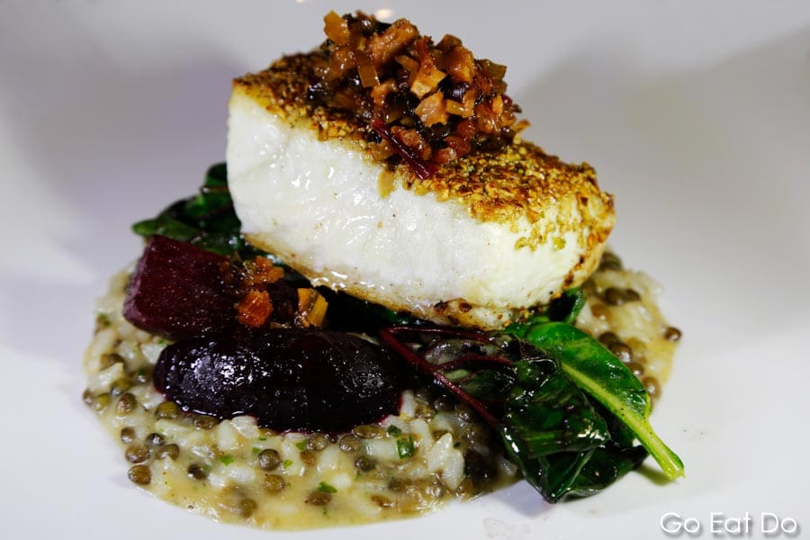 Halibut with a pumpkin seed crust served on a bed of lentil risotto and Swiss chard in Newfoundland and Labrador, Canada
