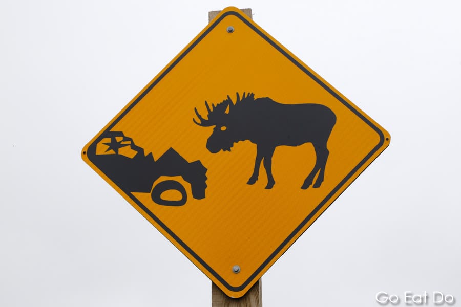Road sign depicting a crashed vehicle and a moose, one of the animals that can be seen by roadsides in Newfoundland and Labrador, Canada