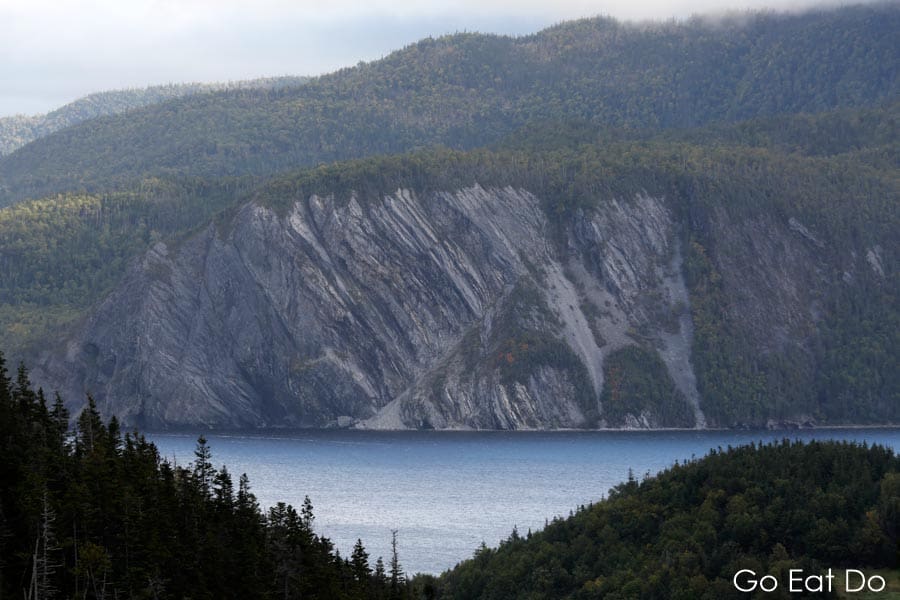 Stratified rock visible above Bonne Bay at Norris Point.