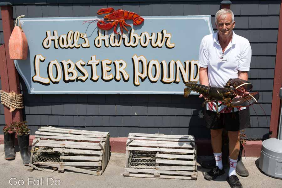 Man holding a lobster at Halls Harbour Lobster Pound in Nova Scotia, Canada.