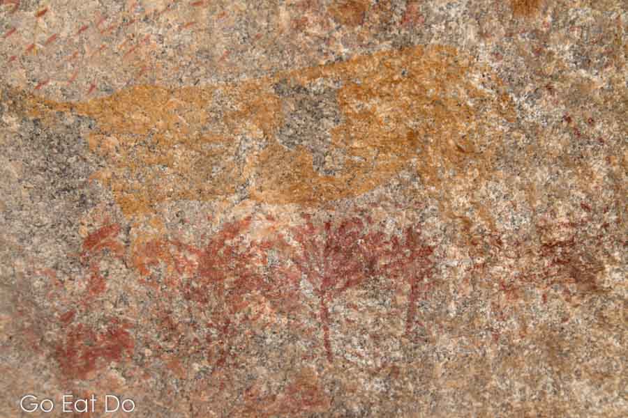Ancient Bushmen rock art, depicting trees and animals, in Matobo National Park, Zimbabwe, Africa