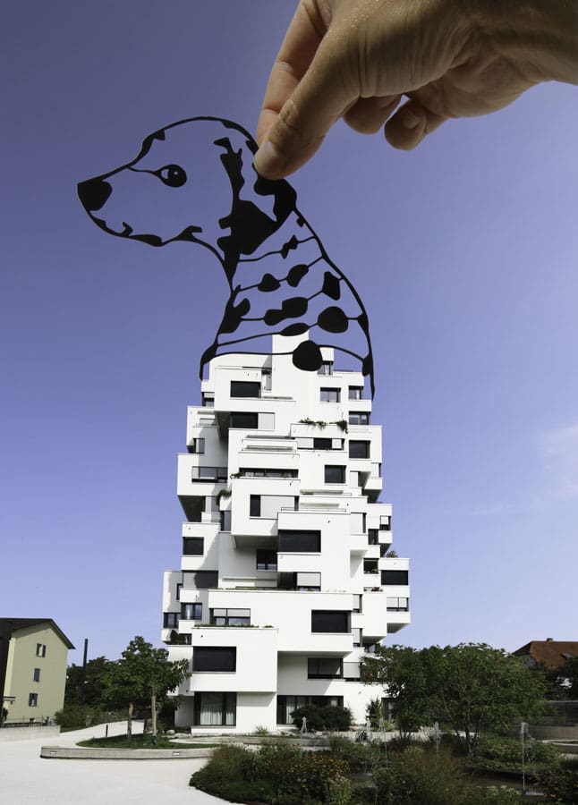 Dalmation in Basel in Switzerland by Paperboyo.