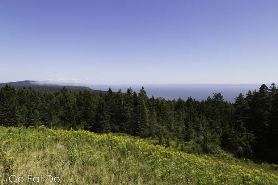 Meadows and woodland overlooking the Bay of Fundy on a summer day at New Brunswick's Fundy National Park.