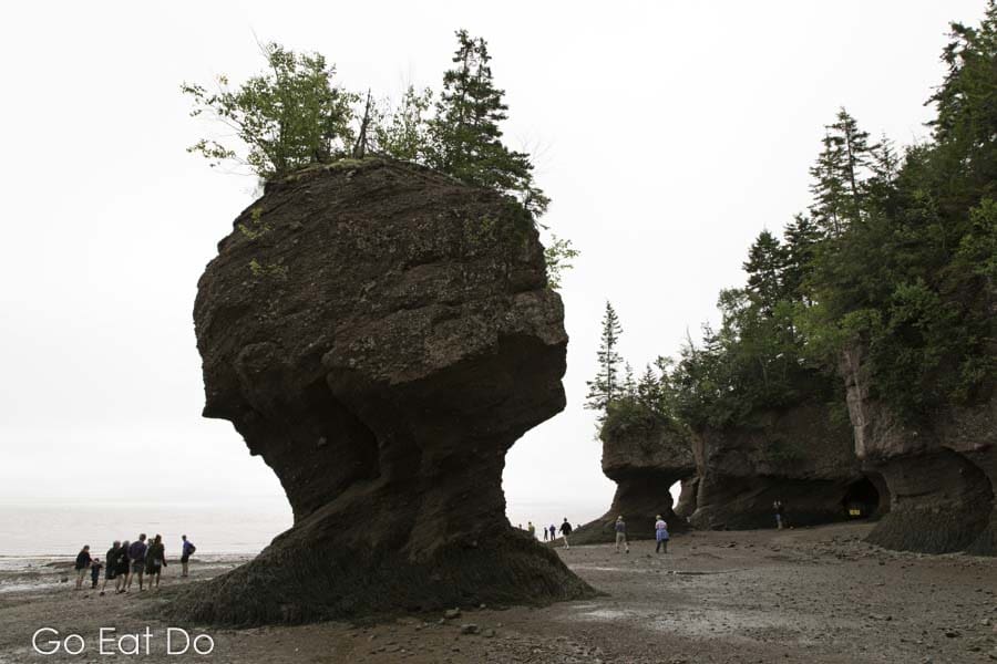 Fundy Coastal Drive / #ExploreNB / Tourism New Brunswick