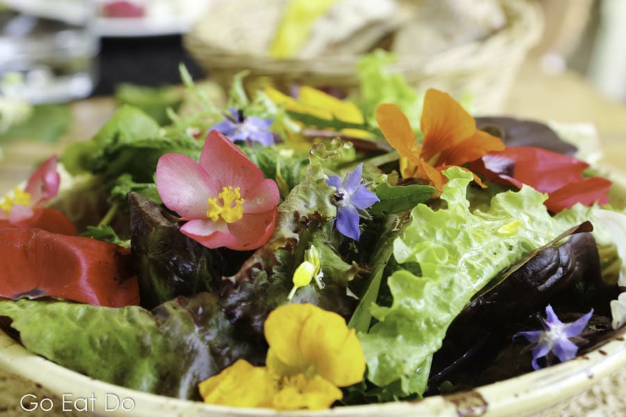 Green leaf salad served with locally sourced edible flowers