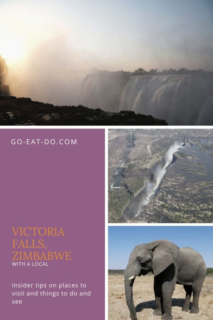 Pinterest pin for Go Eat Do's With a Local blog post with insider tips on things to do and see in Victoria Falls, Zimbabwe