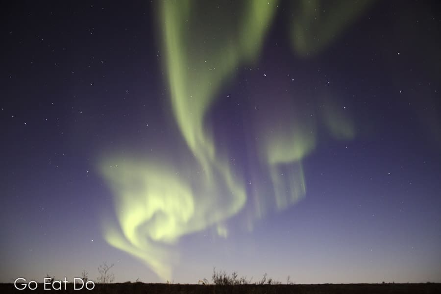 Northern lights dancing in the night sky above tundra north of Churchill in Manitoba, Canada