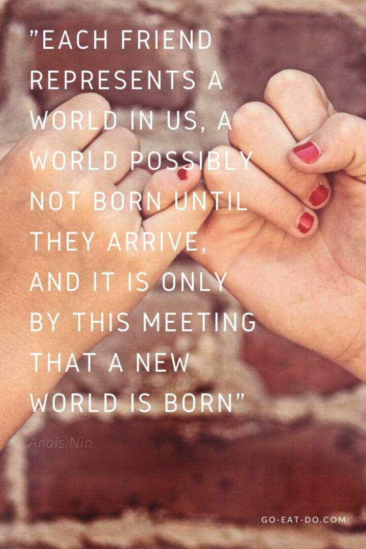 "Each friend represents a world in us, a world possibly not born until they arrive, and it is only by this meeting that a new world is born." – Anais Nin