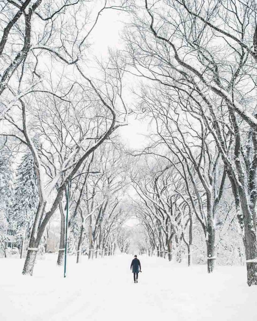 A stroll along a snowy lane is always an option if you're looking for things to do in Winnipeg in winter.