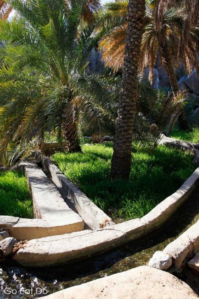 An irrigation channel, known as a falaj, runs through a date palm plantation in the Omani mountain village of Al Hamra in Oman