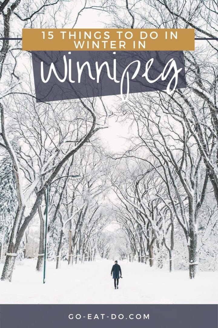 Pinterest pin for Go Eat Do's blog post about things to do in Winnipeg in winter.