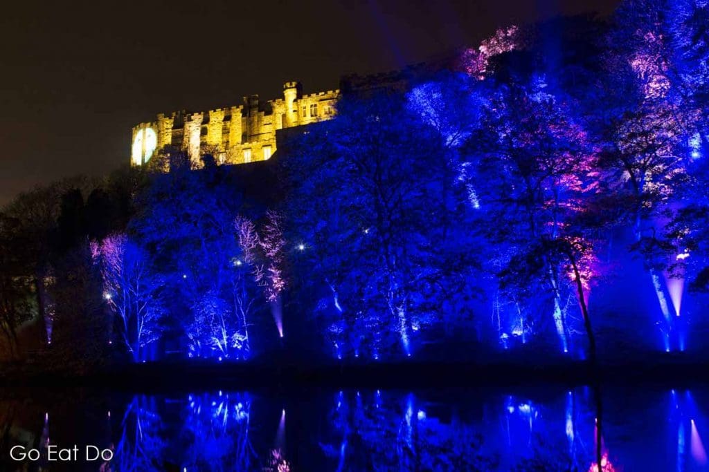 Kari Kola's Frequencies illuminating trees by the River Wear in Durham City, England