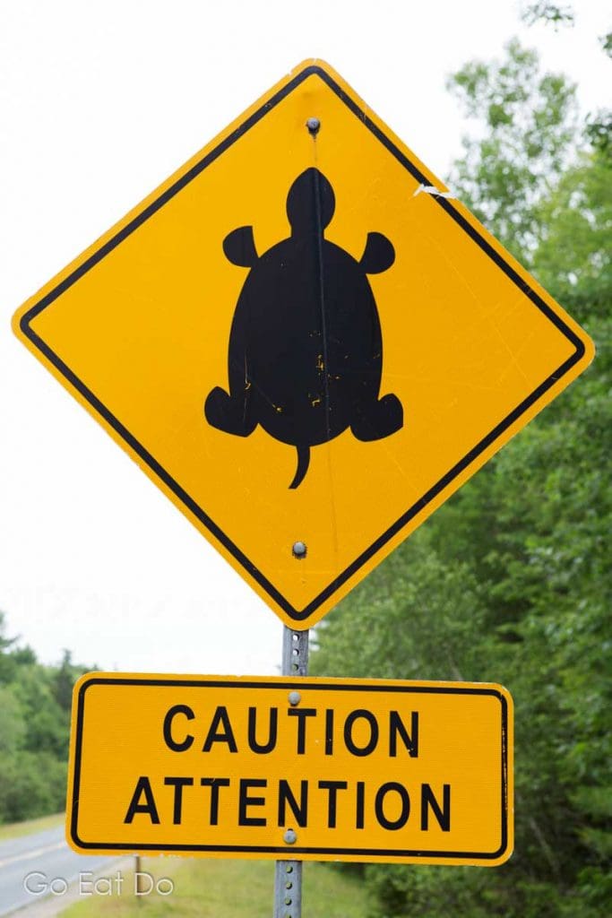 Drive carefully during your road trip in Nova Scotia. This sign warns of turtles on the highway near Kejimkujik National Park and National Historic Site