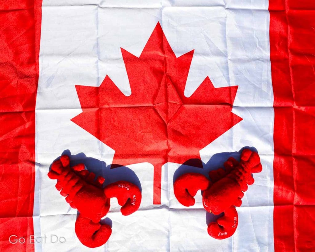 Soft toy lobsters, souvenirs of a visit to Nova Scotia, on a Canadian flag.