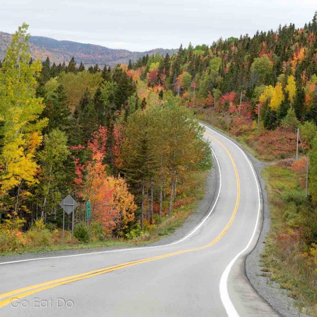 A road in rural Quebec, Canada. Where is the nearest shack serving poutine?