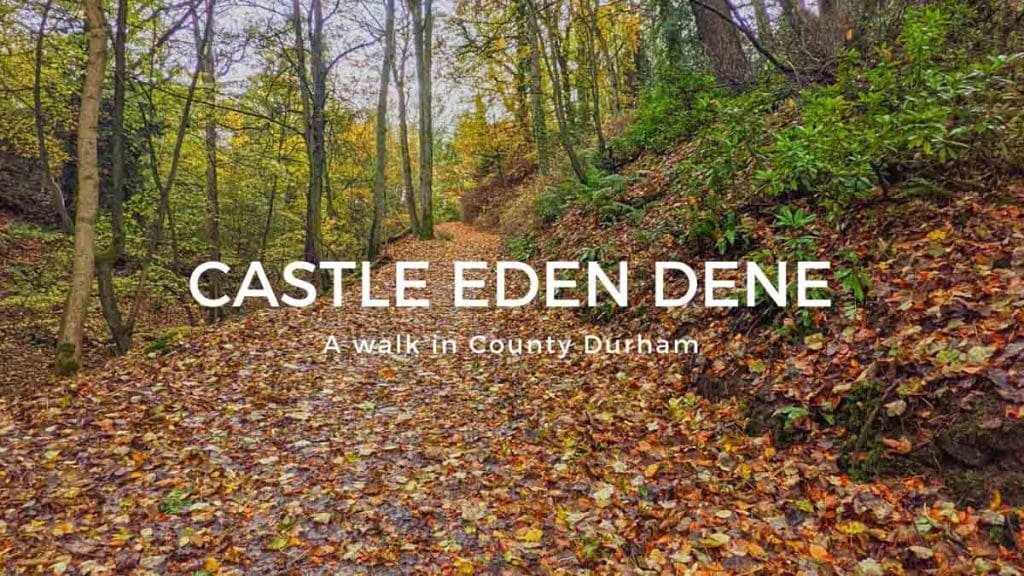 Cover of Go Eat Do's short video, available on YouTube, about walking in Castle Eden Dene National Nature Reserve.