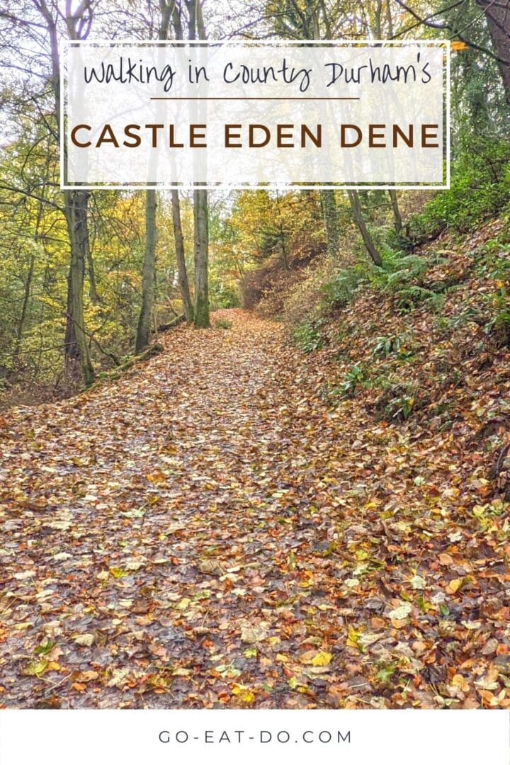 Pinterest pin for Go Eat Do's blog post about walking at Castle Eden Dene in County Durham, England