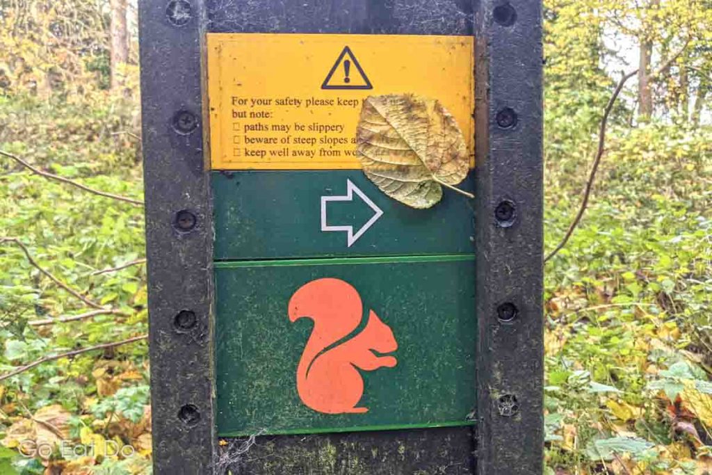 Sign for the Squirrel Trail or Squirrel Walk, a circular walk at Castle Eden Dene in County Durham.