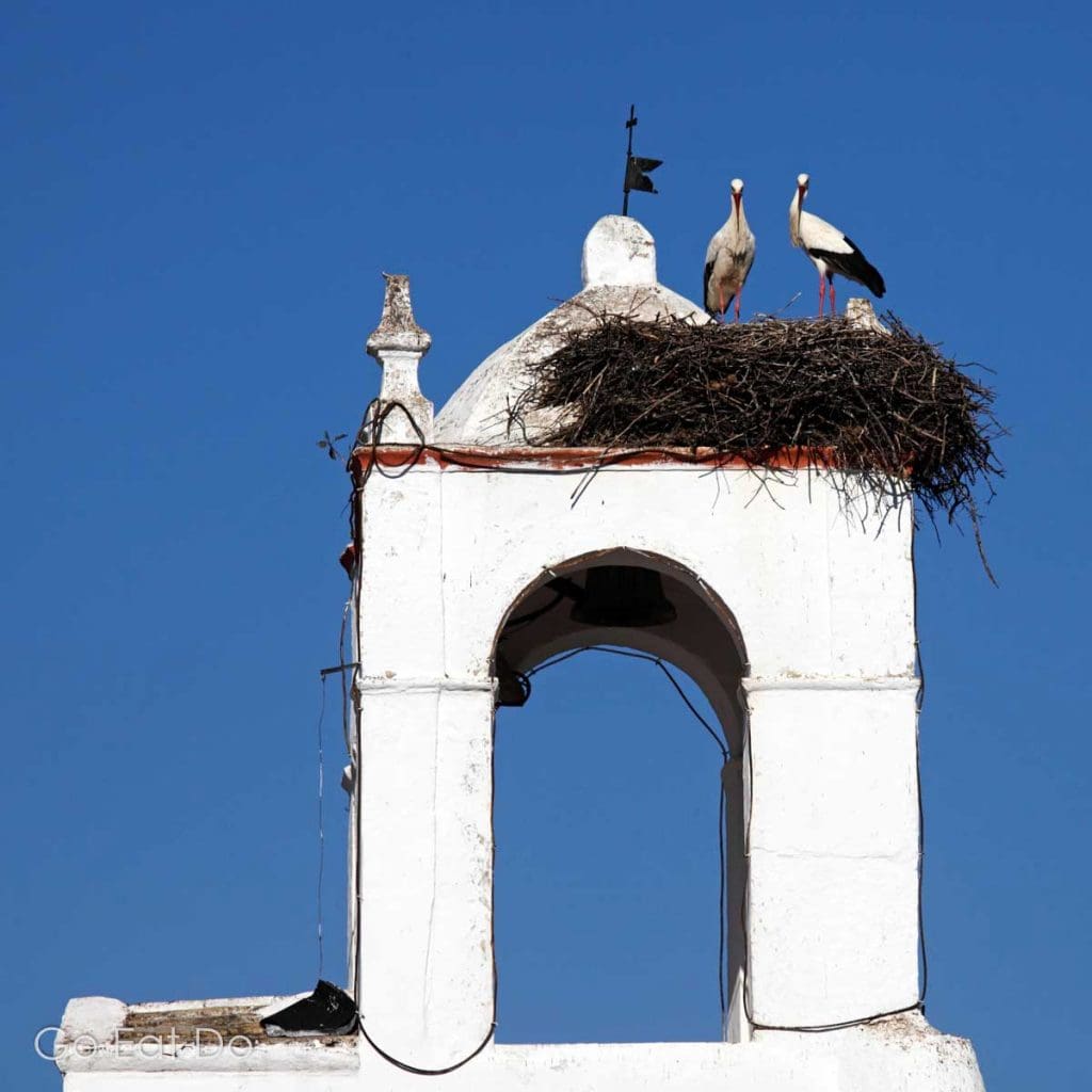 Storks (Ciconia ciconia) nesting on a bell tower Mertola, Portugal, during the breeding season.