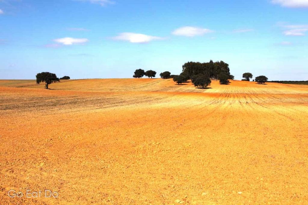 A field of orange-red earth, typical of the rural farmland around Mertola in the Alentejo, Portugal.